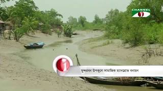 সুন্দরবন উপকূলে সামাজিক ম্যানগ্রোভ বনায়ন শুরু করেছেন স্থানীয়রা