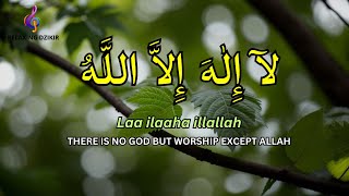 Daily Dzikir for Academic Focus: LAILAHAILLALLAH Relaxing Dzikir