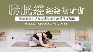 【膀胱經 | 陰瑜伽】40分鐘 #meridian Yin Yoga ★ #經絡 #緩解頭痛 #改善代謝循環 #排溼排毒 #yinyoga