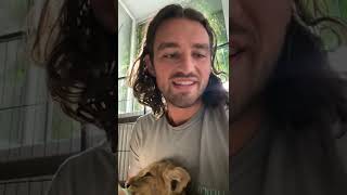 Heroic IFAW Veterinarian Saves 🦁 Lion Cubs from Warzone, Exotic Pet Trade. See How He Pulled It Off