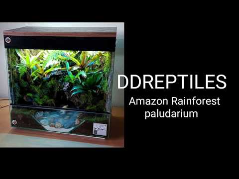 Dartfrog paludarium monsoon water feature Dartfrog paludarium monsoon water feature
