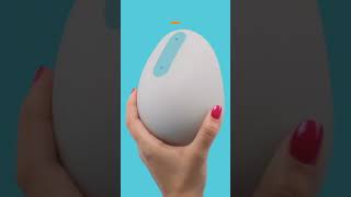 Top 5 Best Electric Breast Pumpe in 2024