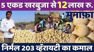 5 एकड निर्मल खरबुजा से 12 लाख रु.,खरबुजा खेती,Nirmal 203 Kharbuja,Kharbuja Kheti,Muskmelon Farming