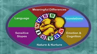Reading Readiness: Language Foundations