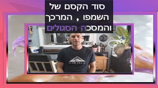 סוד הקסם של השמפו 💜 הסגול - כל מה שרציתם לדעת ויותר