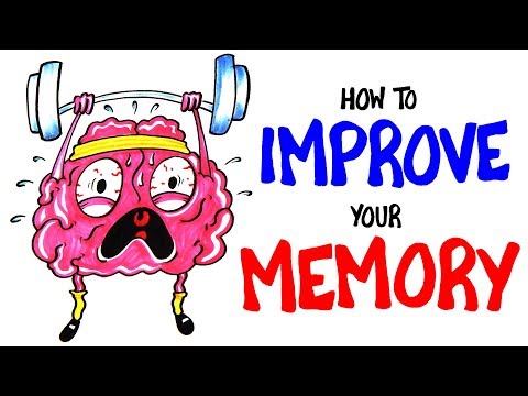 What enhances long term memory storage?