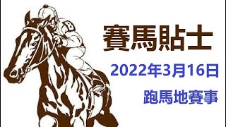 賽馬貼士 跑馬地賽事 (2022年3月16日)