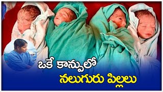 ఒకే కాన్పులో నలుగురు పిల్లలు.. ఎక్కడో తెలుసా! || Telugu Now