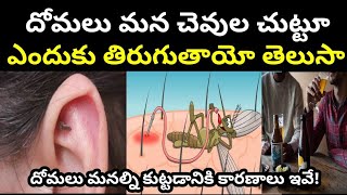 దోమల నుంచి తప్పించుకోవడానికి ఈ చిన్న టిప్స్ పాటిస్తే చాలు || how to prevent mosquitos ||