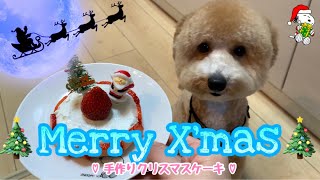 愛犬と過ごすクリスマス♪【簡単犬用手作りケーキ】【スヌーピーぬいぐるみ】