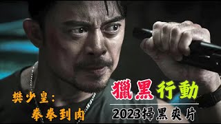 2023樊少皇《獵黑行動》武打高燃，妻子飾演黑大嫂不輸《狂飆》高葉，「安局」石兆琪再度出演