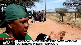 Union calls for thorough probe into working conditions at farms in the Northern Cape