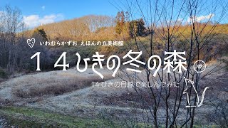 【世界中が翻訳】いわむらかずお絵本の丘美術館｜冬の森を14ひき目線で歩いてみたら…