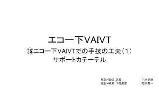 エコー下VAIVT（エコー下VAIVTでの手技の工夫１：サポートカテーテル）