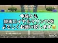 【ウイニング競馬】【日本ダービー2023】【東京優駿2023】スタポケ枠確定後シミュレーション ソールオリエンス スキルヴィング ファントムシーフ タスティエーラ 1977