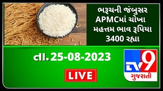 Mandi : ભરૂચની જંબુસર APMCમાં ચોખા  મહત્તમ ભાવ રૂપિયા 3400 રહ્યા | Tv9News