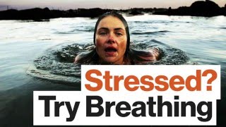 Stressed? Use This Breathing Technique to Improve Your Attention and Memory, with Emma Seppälä