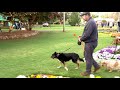 2020 carnival of flowers opening night toowoomba qld