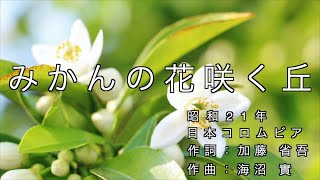 【高齢者向け 歌いやすい】カラオケ🎤 みかんの花咲く丘