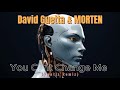 David Guetta & MORTEN - You Can’t Change Me (Vantiz Remix)