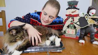 Hannah's Advent 2019 - Day 22
