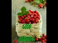 Good Morning WhatsApp Status #Morning | Good Morning Status Video | Happy Morning Wishes | Song