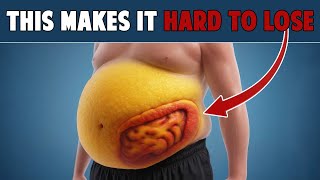 Why Is Belly Fat So Hard to Lose?