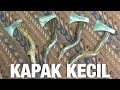 Jak Othman Kapak Kecil / Small Axe Tutorial