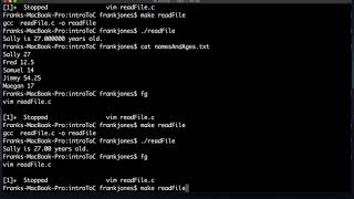 File I/O in C
