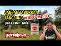 Perkara yang perlu dielakkan apabila menggunakan Ajinomoto untuk baja sawit