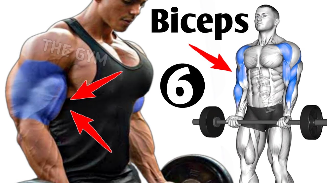 6 Big Biceps Exercises Fastest Youtube