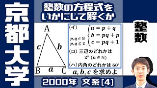 【京大2000】文系の難問！整数と平面図形の融合問題【整数の性質】