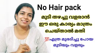 🔥ഒരു പ്രാവശ്യം ഉപയോഗിച്ച് നോക്കൂ🔥മുടി വളർന്നുകൊണ്ടേയിരിക്കും/Malayalam hair growth tips..