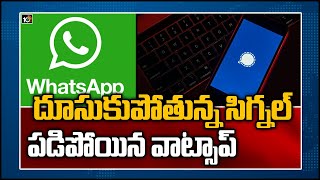 దూసుకుపోతున్న సిగ్న‌ల్‌..పడిపోయిన వాట్సాప్: Signal Becomes the Top Free App on App Store in India