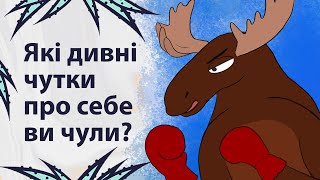 Що дивне ви чули про себе? | Реддіт українською