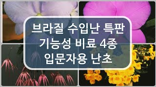 브라질 수입난 특판 /기능성 비료4종/입문자용난초