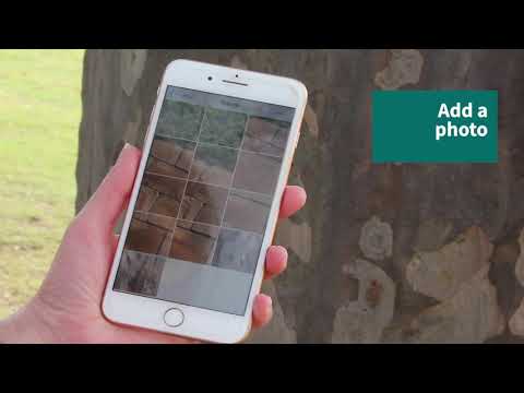 Report Using Mypestguide Reporter Youtube