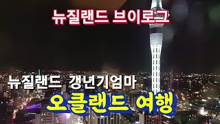 (🇦🇺뉴질랜드 브이로그)갱년기 시골 엄마 오클랜드 나들이🚘뷰좋은 Voco Hotel에서 하룻밤🏩