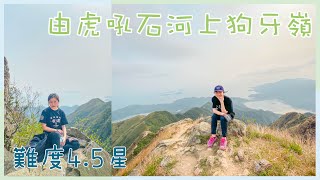 [ Hiking #6 ]︱《狗牙嶺》由虎吼石河上狗牙嶺 難度4.5星！差點全部影片沒有了😭︱4K