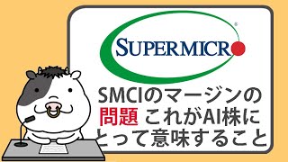 スーパーマイクロコンピュータのマージンの問題。これがAI株にとって意味すること【2024/08/07】