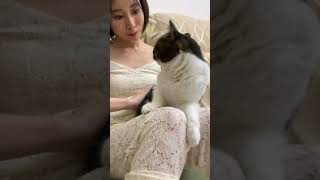 ママにマッサージされると溶ける猫 #shorts