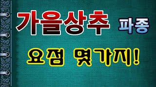 [텃밭농부.750]  가을상추 파종 요점 몇가지 #상추파종 #상추재배