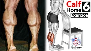 Best 6 Calves workout Home  Excersice