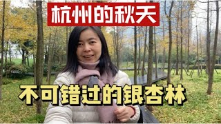 杭州最美的季节是秋季，到钱塘江畔的一片银杏林，美美地拍拍照吧