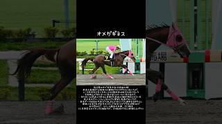 自分のペースで行ければ【フェブラリーS GⅠ 2024】　#競馬 #競馬予想 #フェブラリーs #オメガギネス #高評価_コメントよろしくお願いします #チャンネル登録お願いします