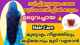 💯💯ഉലുവ ഉണ്ടോ🔥 എത്ര വലിയ മുടികൊഴിച്ചിലും മാറ്റി നീള ത്തോടെ മുടി വളർത്താം👍 ഇതൊരു തുള്ളി മതി💥Malayalam👍