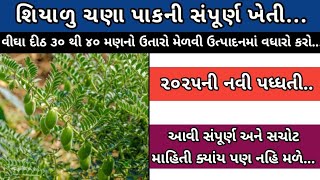 શિયાળુ ચણાના પાકની ખેતી...|વિધે ૩૦ થી ૪૦ મણનો ઉતારો..|૨૦૨૫ની નવી પધ્ધતિ..| #ankit #ચણા #માહિતી..