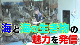 【おらんくの海】桂浜水族館のベテラン飼育員 日本財団 海と日本PROJECT in 高知県 2020 #09