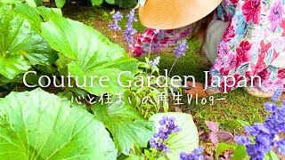 vol.19 Gardening Spring Garden at Age 57 | Weedless Garden Tour | Memories of My 90-Year-Old Father