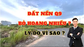 Thực tại đất bỏ hoang tại Quận 9 cũ TP Thủ Đức